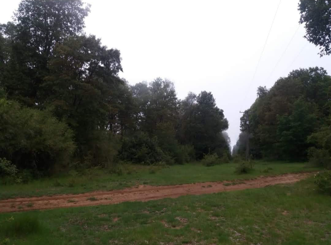 VENTA TERRENO AGRÍCOLA Camino Las Termas - Chillán