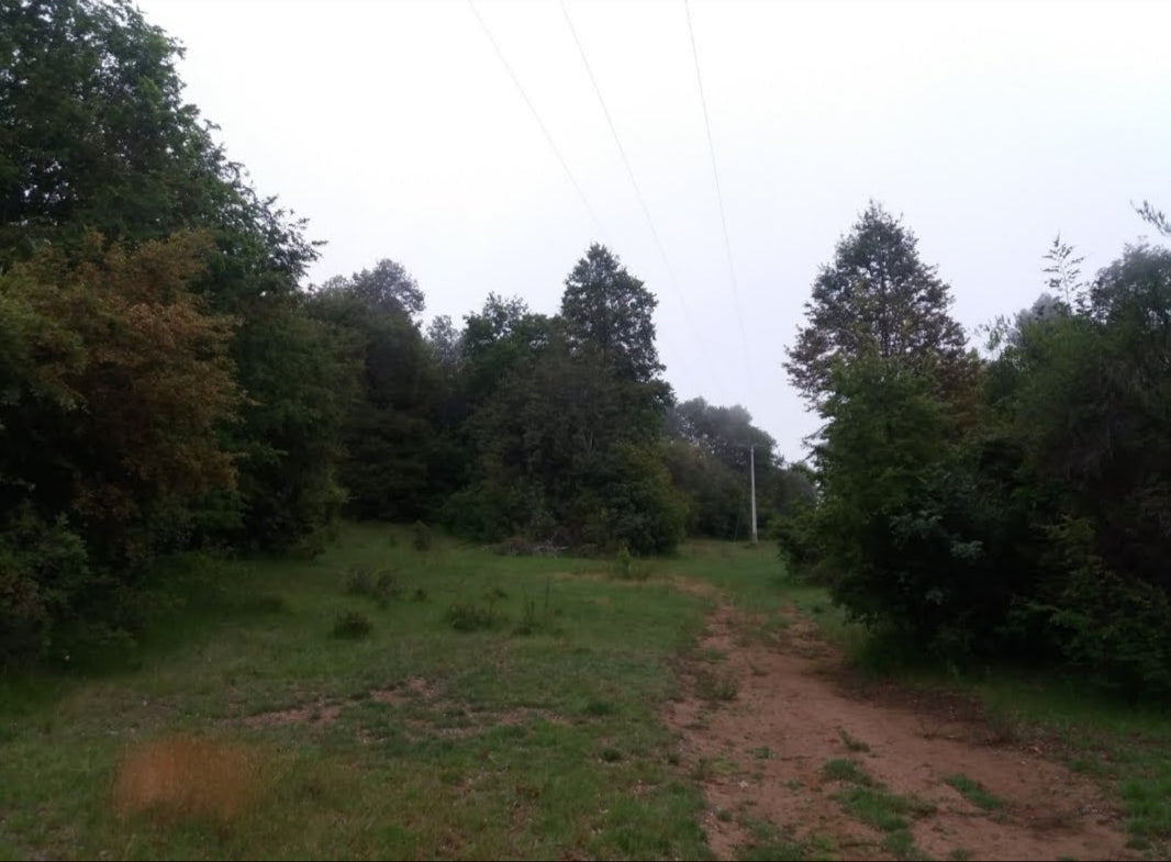 VENTA TERRENO AGRÍCOLA Camino Las Termas - Chillán