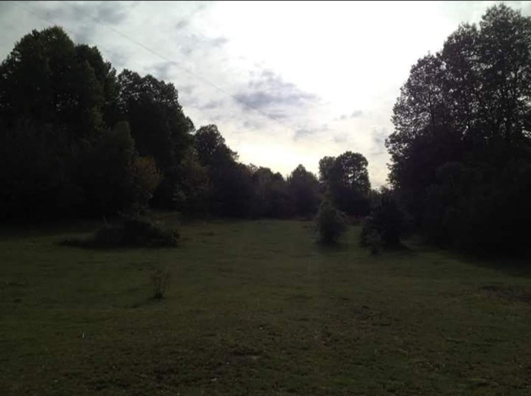 VENTA TERRENO AGRÍCOLA Camino Las Termas - Chillán