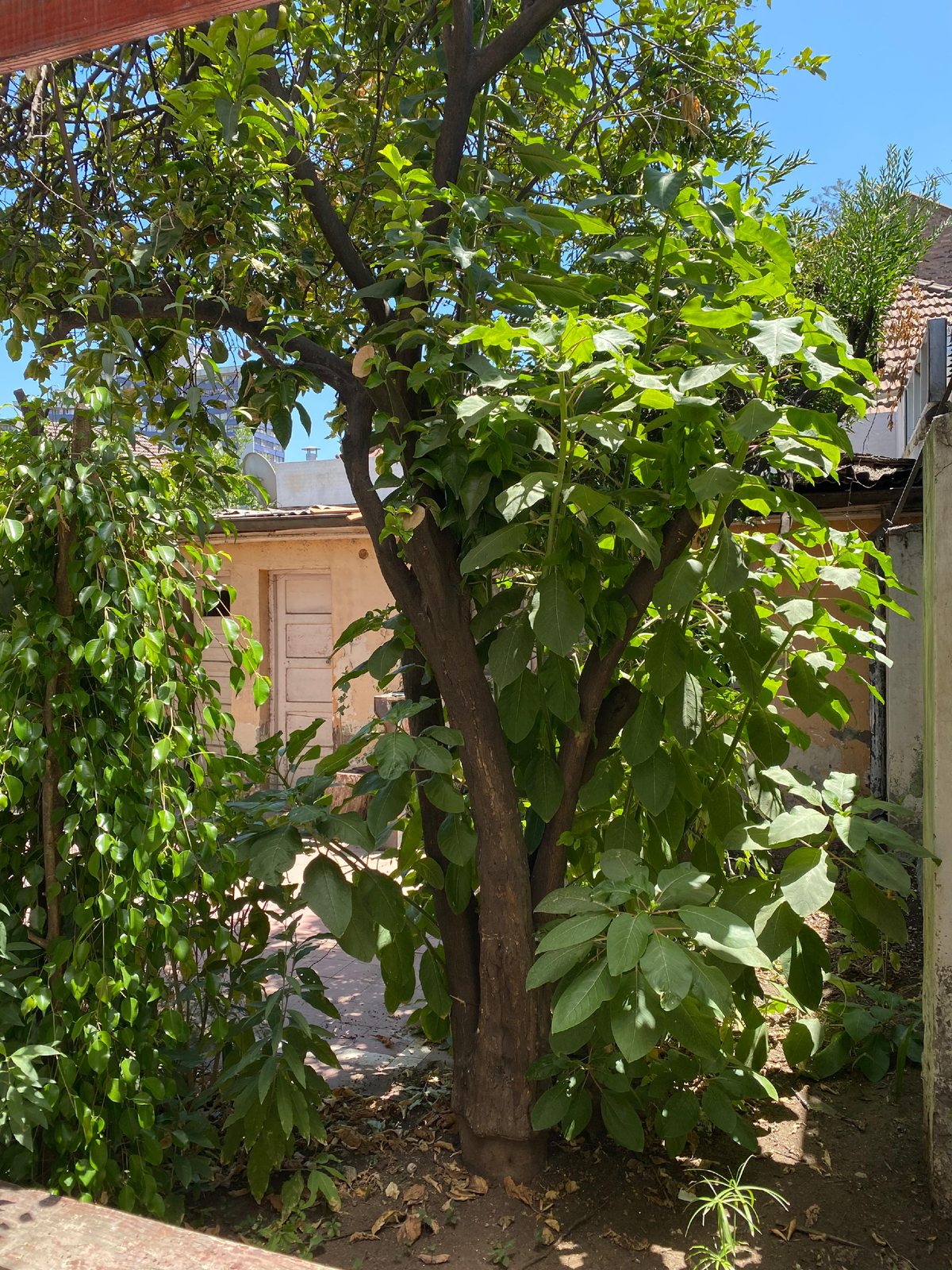 ARRIENDO CASA Calle Cousin - Providencia